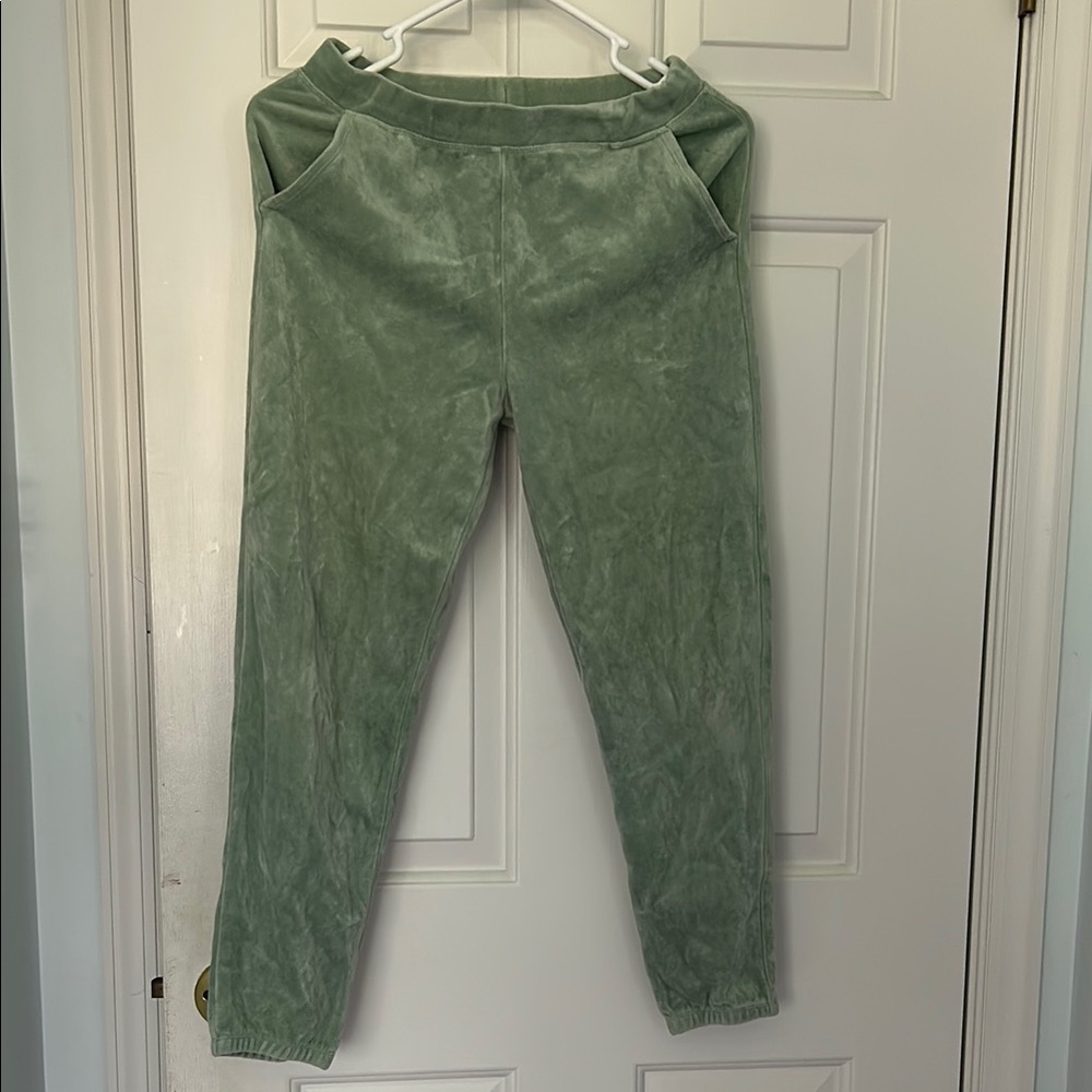 Gymboree Teal Velour Jogger Pants